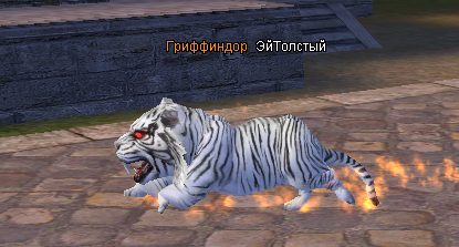 1738693537692.png