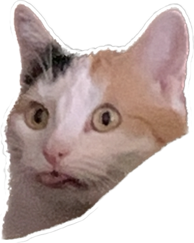 1738907378682.png
