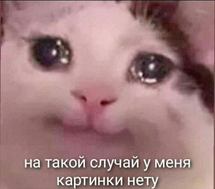 1739034390016.png