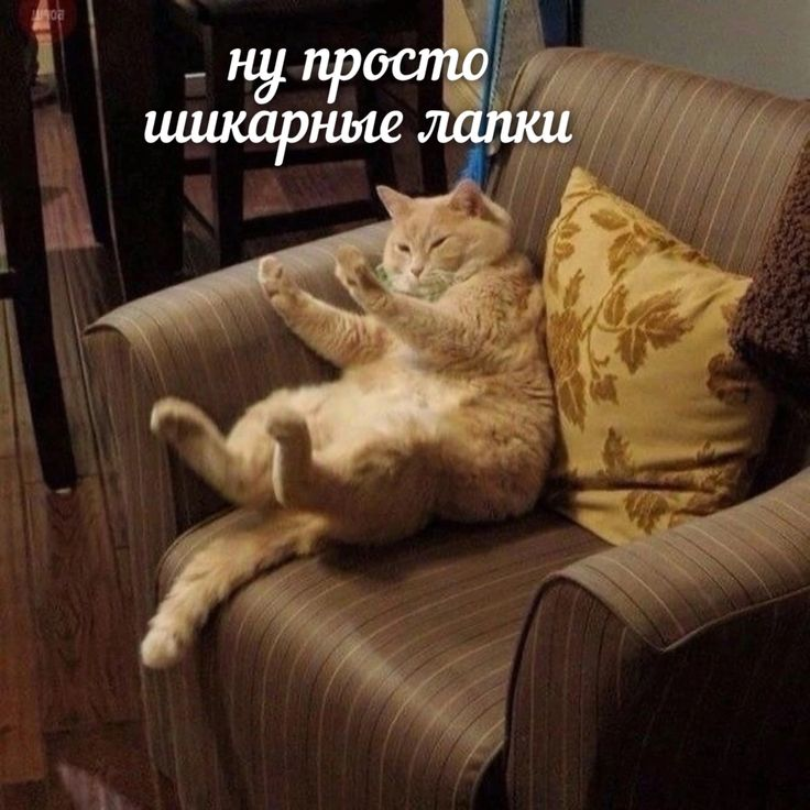1739206209479.png