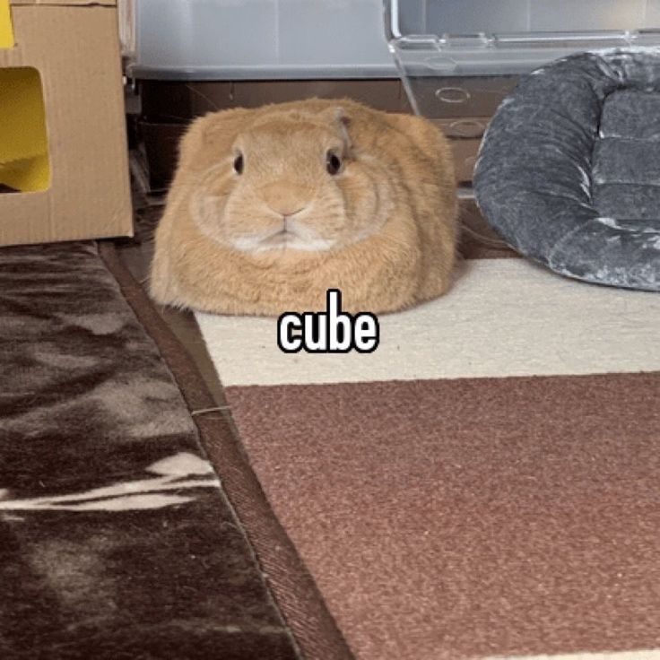 1739214227875.png