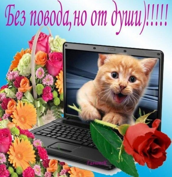 1739216315738.png
