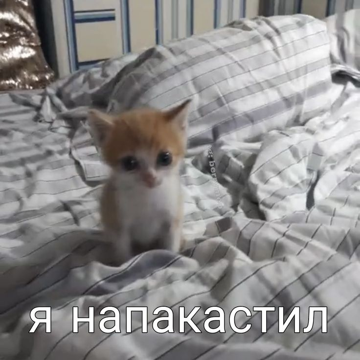1739445970820.png