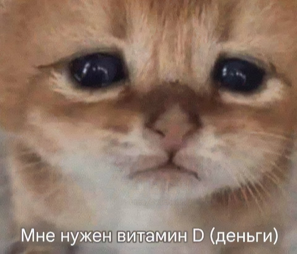 1739621302473.png