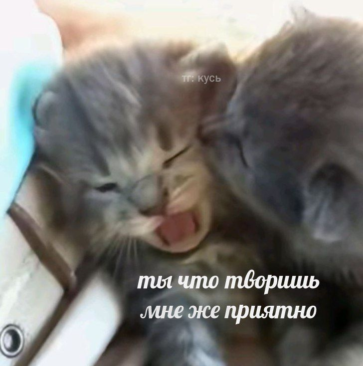 1740156538280.png