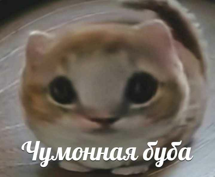 1740201380225.png