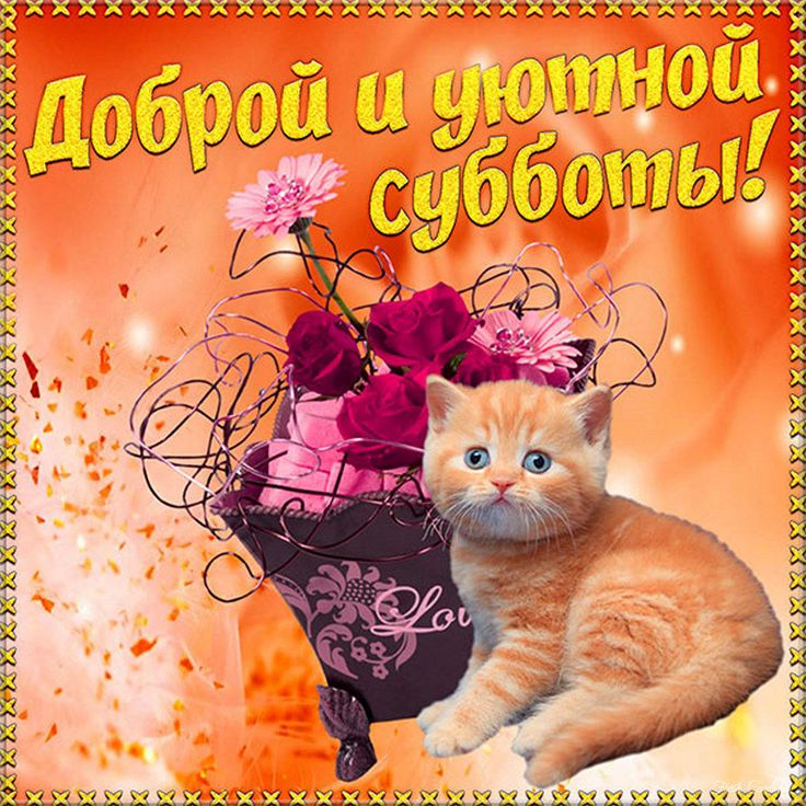 1740226579265.png