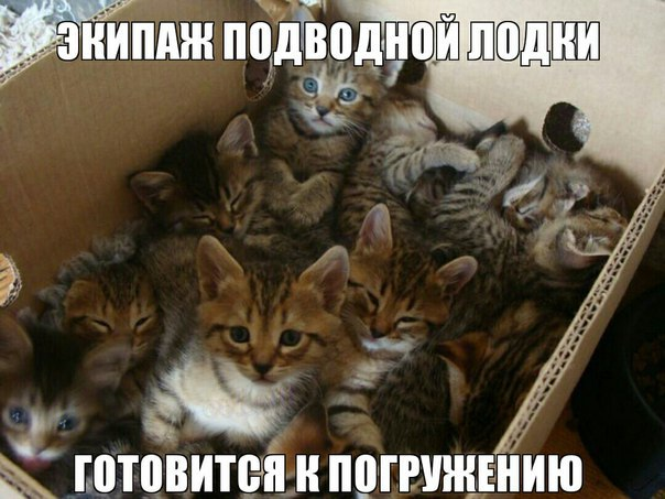 1740385116907.png