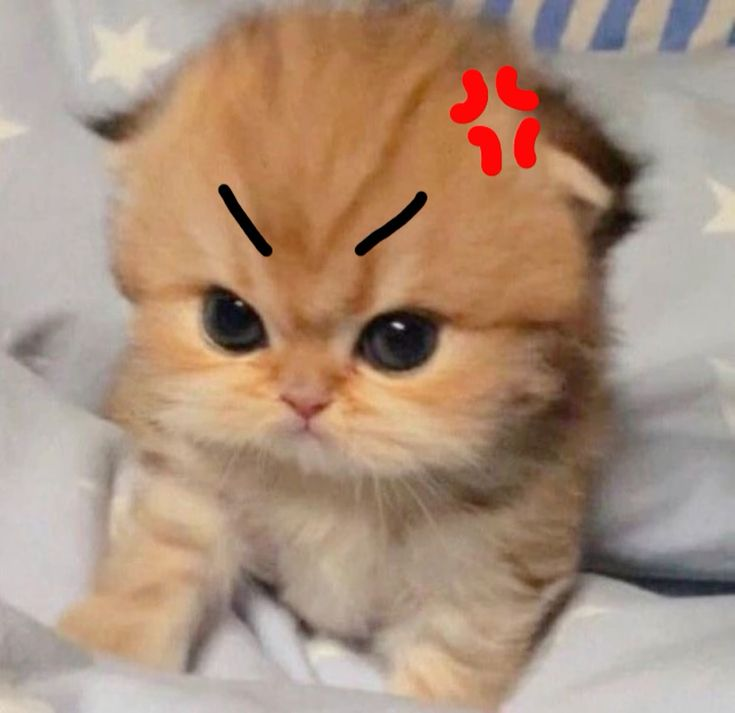 1740401493168.png