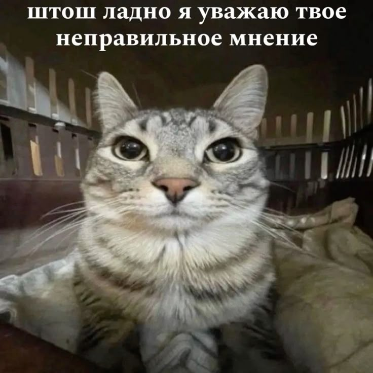 1740402331278.png
