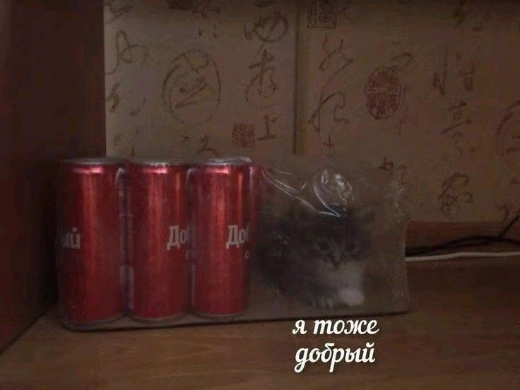 1740749876589.png