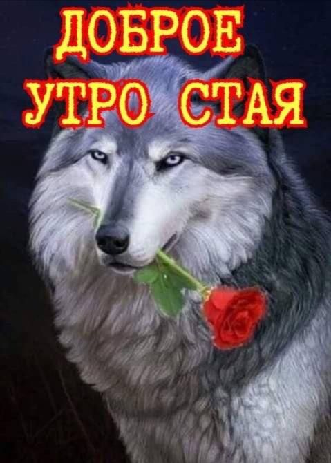 1740990032750.png