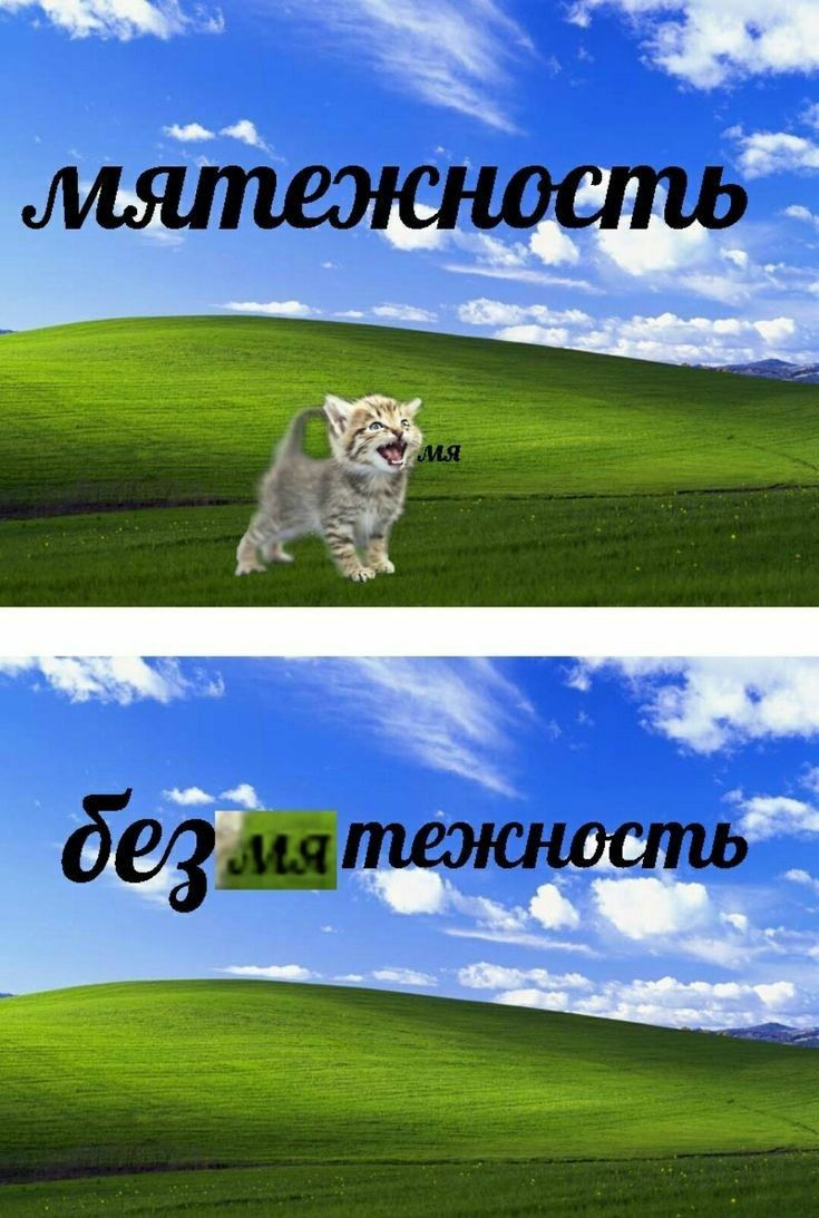 1740990068216.png