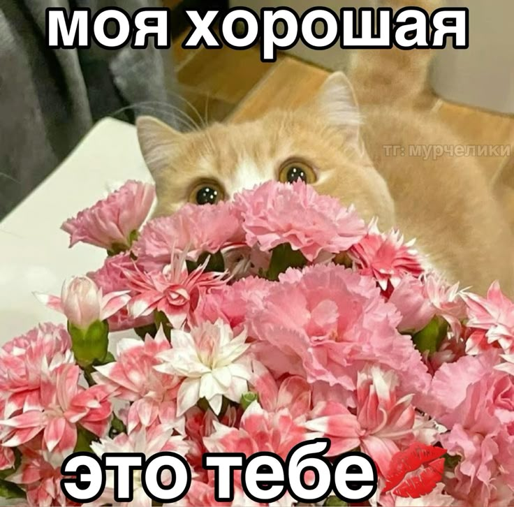 1741411804692.png