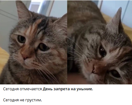 1741761269205.png