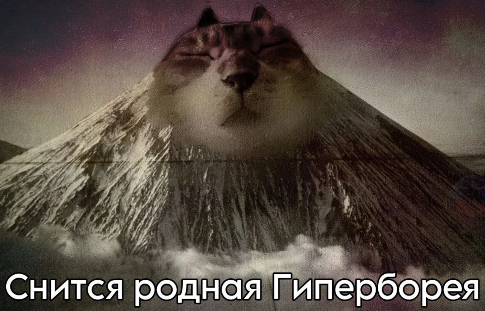 1742226710021.png