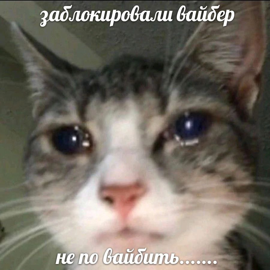 1742368336425.png