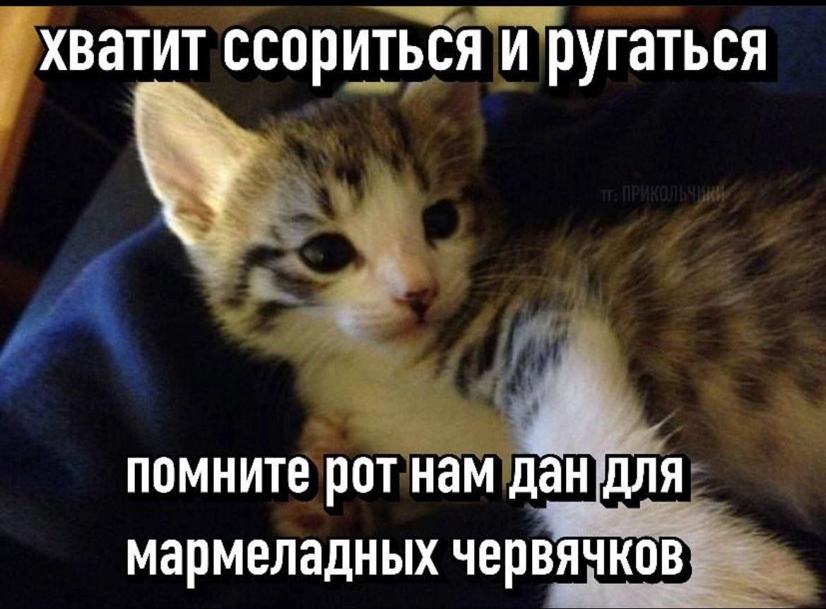 1742382019224.png
