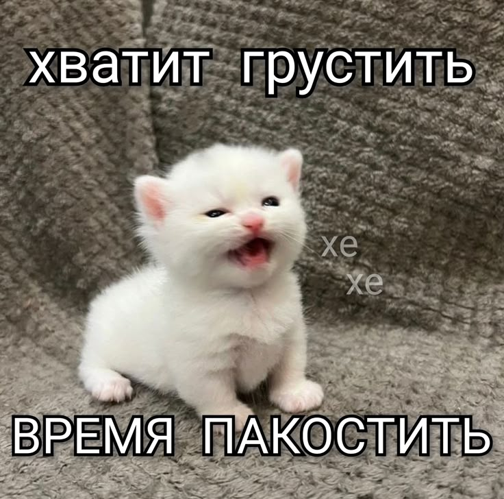 1742382721827.png