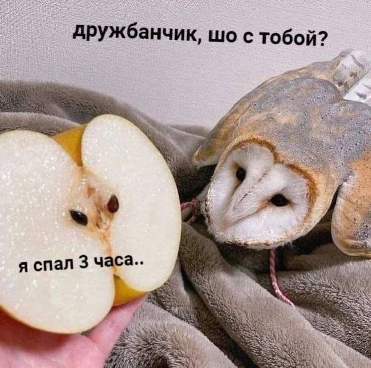 1742399501021.png