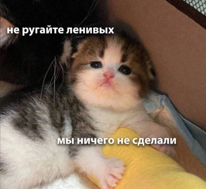 1742408247233.png