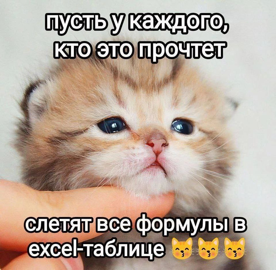1742454418601.png