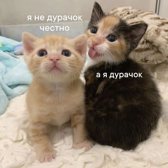 1742554767092.png