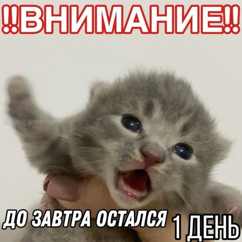 1742589022429.png