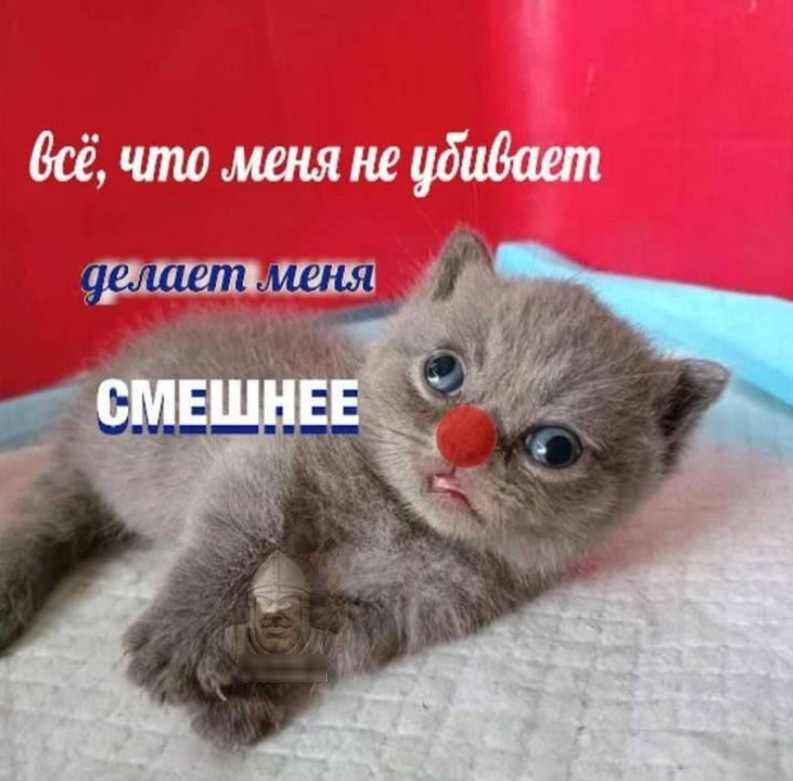 1742664312264.png