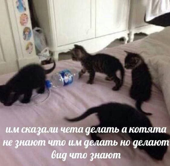 1742805590396.png