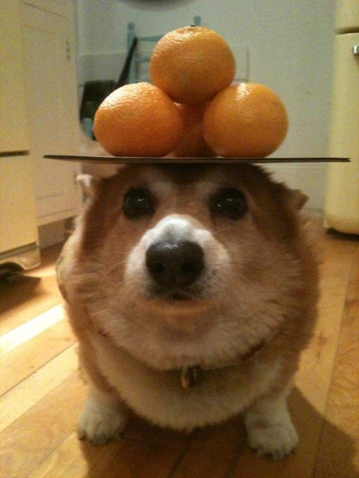 1742805824944.png