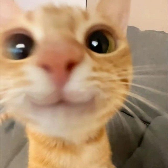 1742846754636.png
