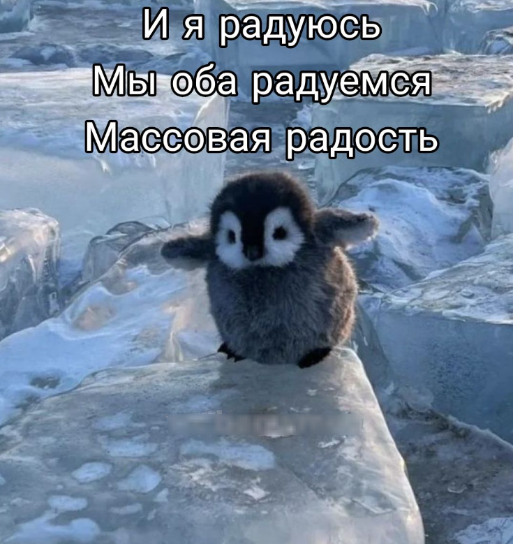 1742924634012.png