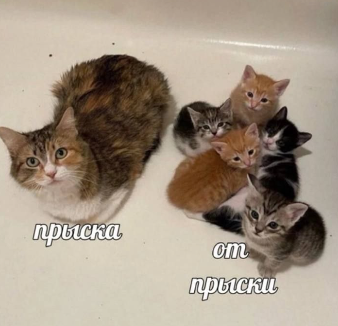 1743034497220.png