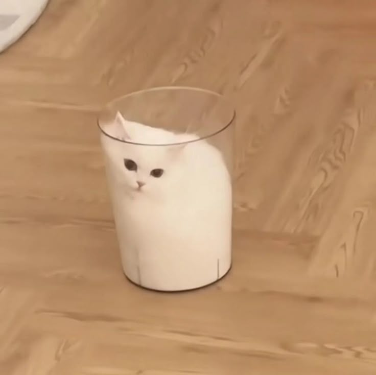 1743112342111.png