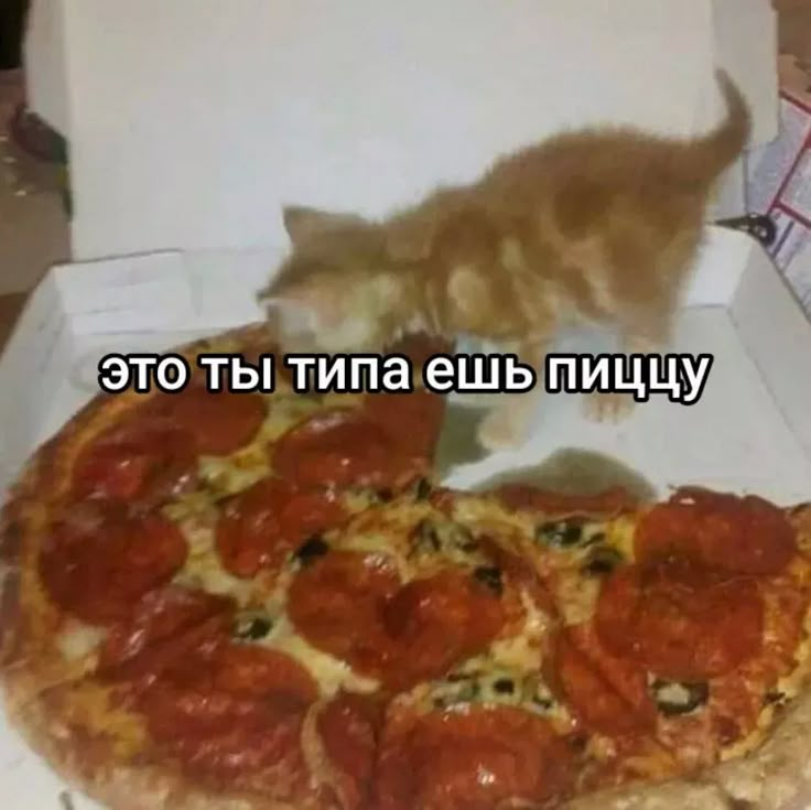 1743158242642.png