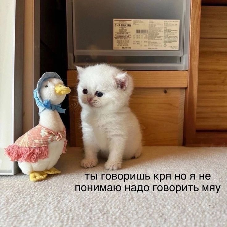 1743855608326.png