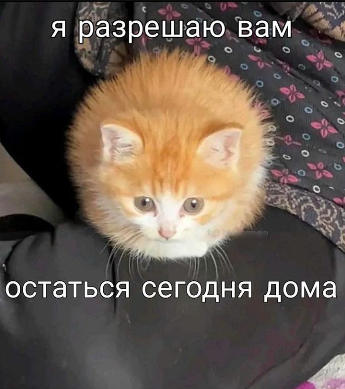 1744463605295.png