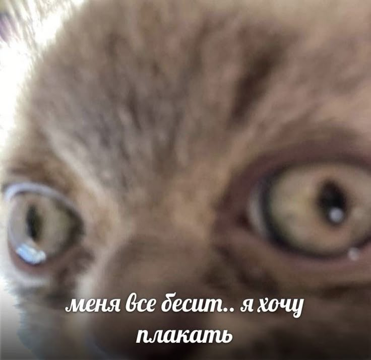 1744563743000.png