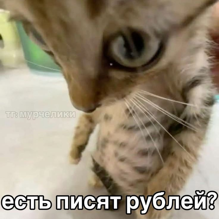 1744564856292.png