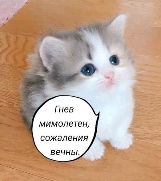 1744564960892.png