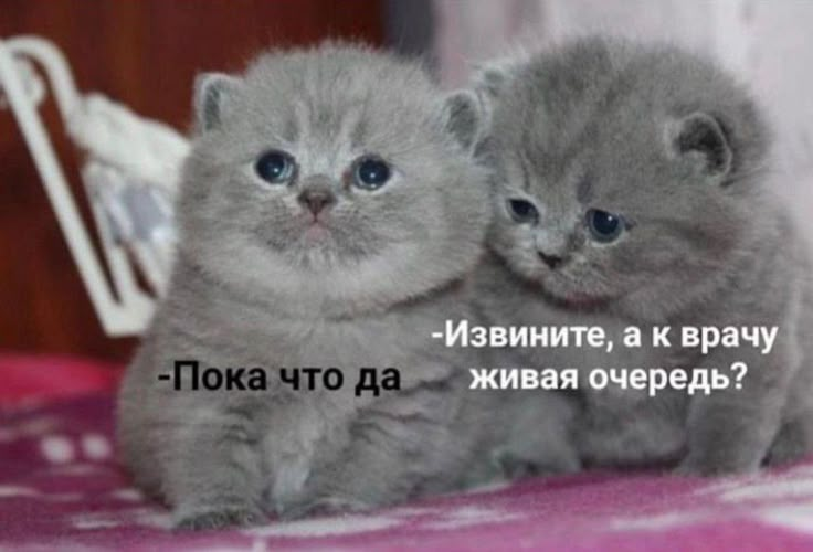 1744566536856.png