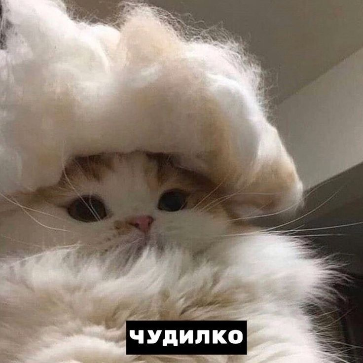 1744737069959.png