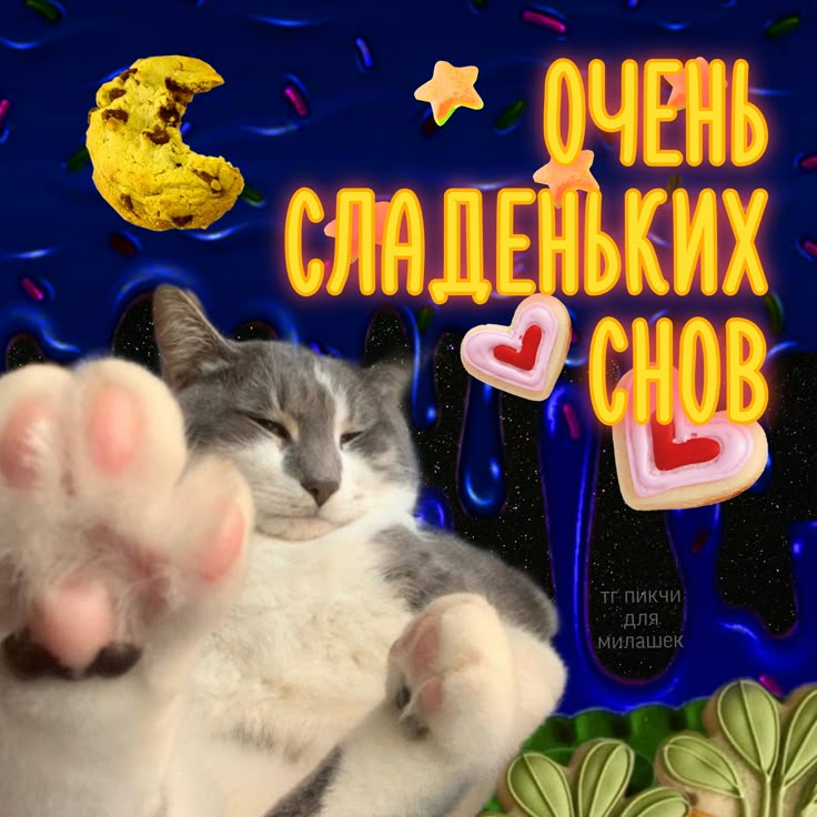 1744742668656.png