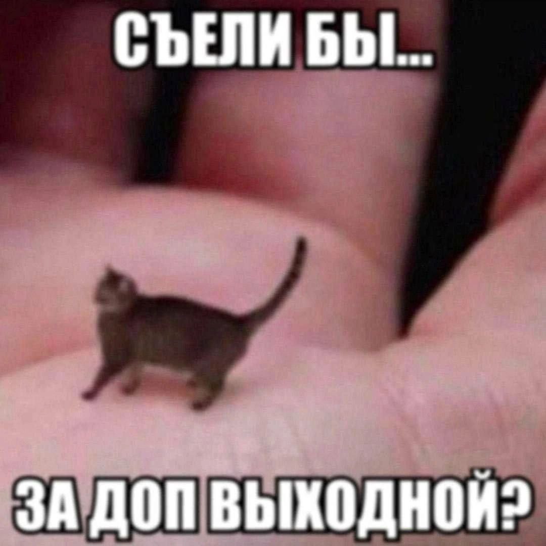 1744762181986.png