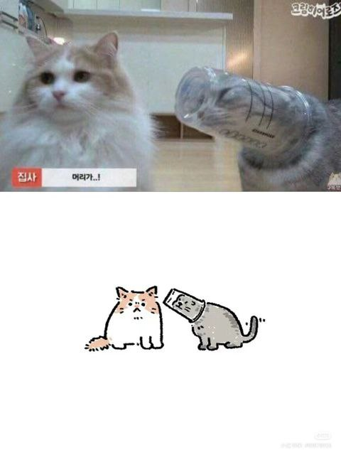 1744802278334.png