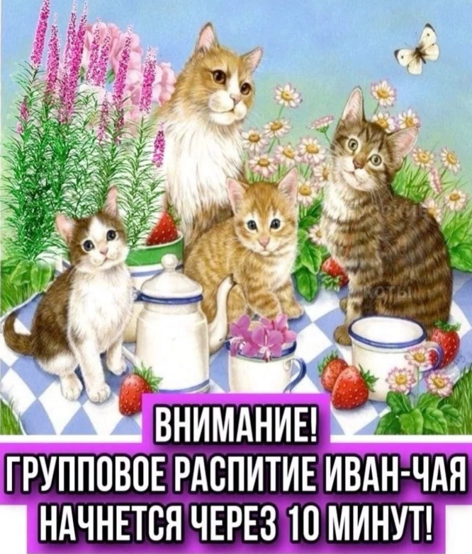 1744823230734.png