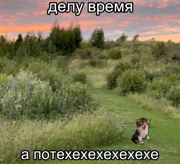 1744897703615.png