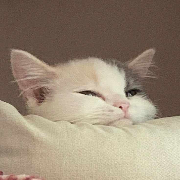 1744902105587.png