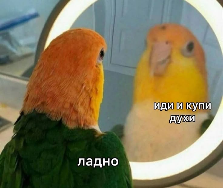 1744911029292.png